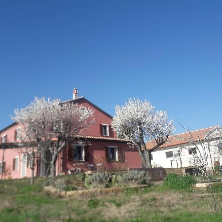 Bed and Breakfast Casa Rosa San Costanzo Zewnętrze zdjęcie
